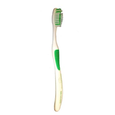 Ortho Brush